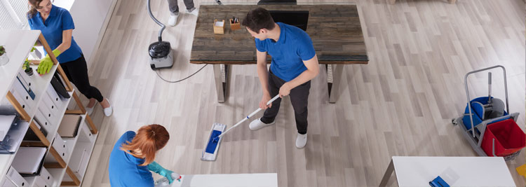 Roof Pressure Cleaning Redland Bay